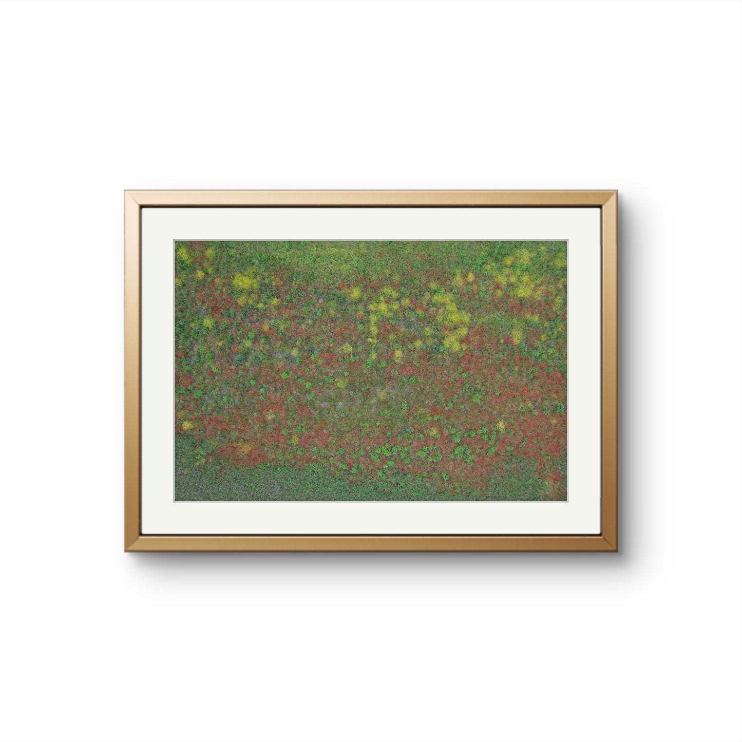 FLEURS DE GUSTAV flash