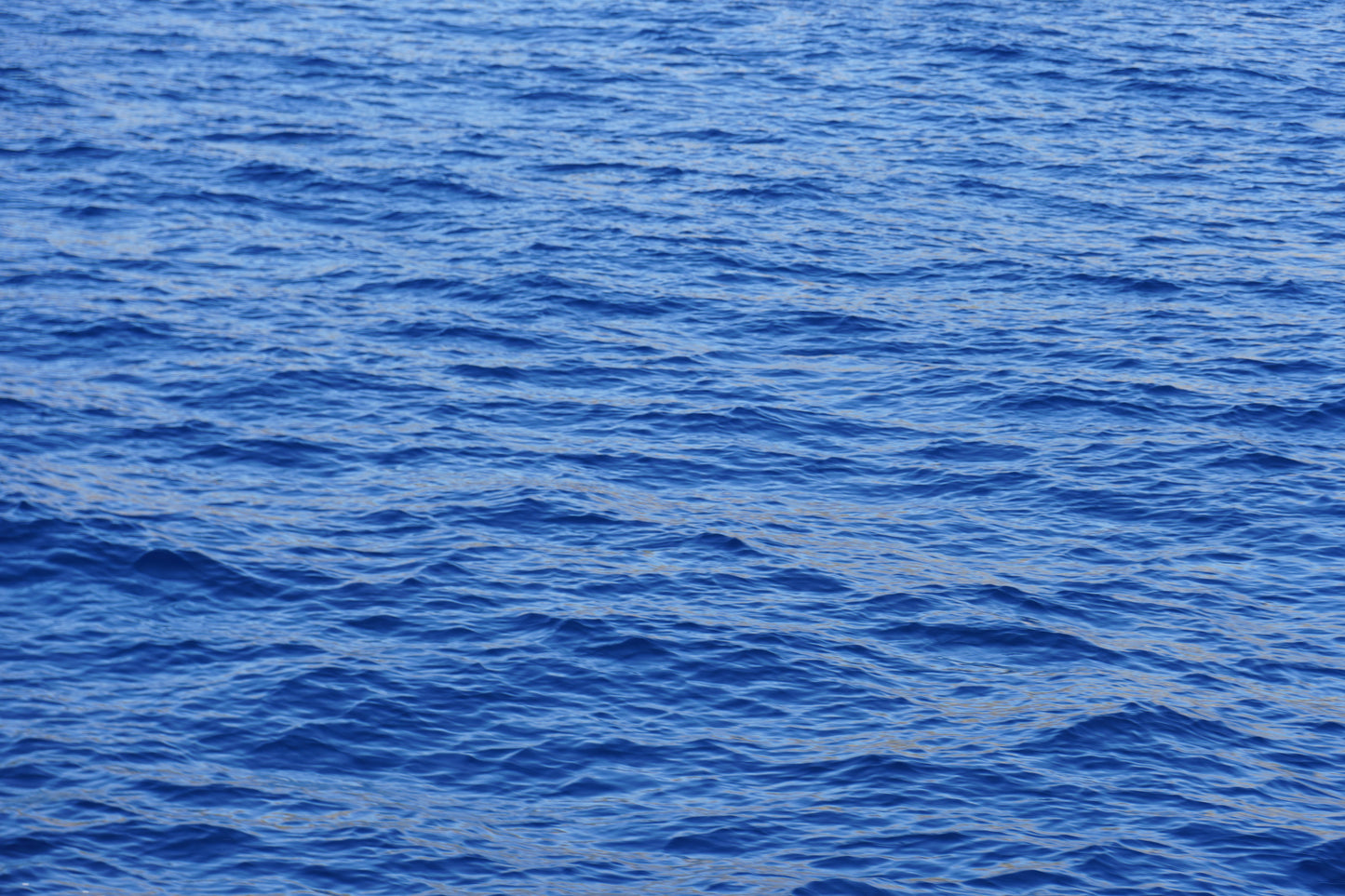 MER BLEUE