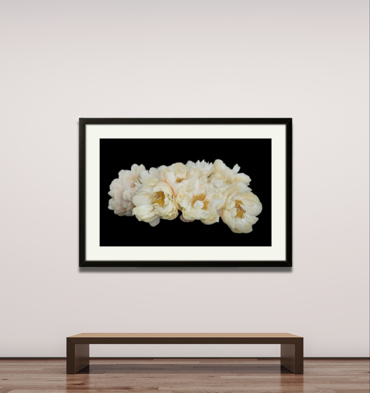 PIVOINES 1