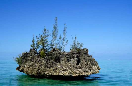 ÎLOT MAURICIEN