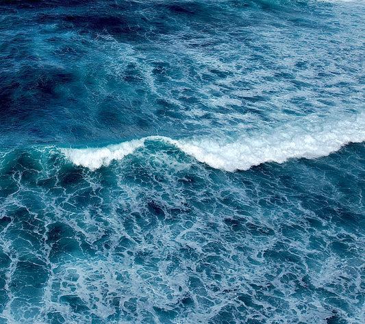VAGUE BLEUE,  vente du vendredi