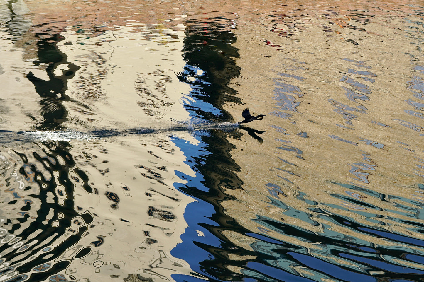 L’ENVOL SUR L’ARNO