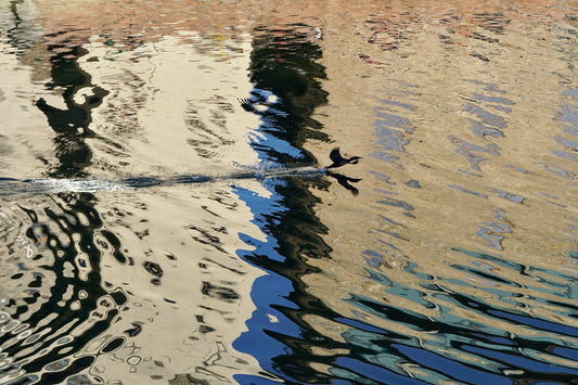 L’ENVOL SUR L’ARNO