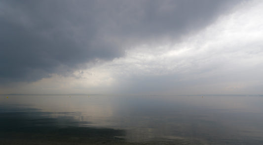 BERRE COMME RICHTER 2